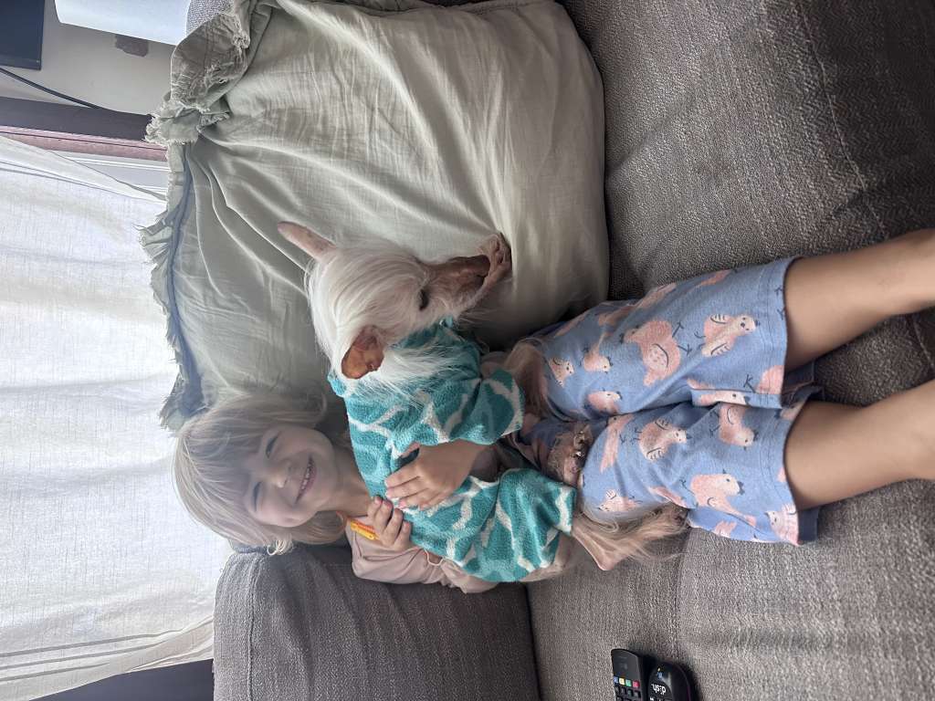 Hi-Life Sirius Andros Look Again