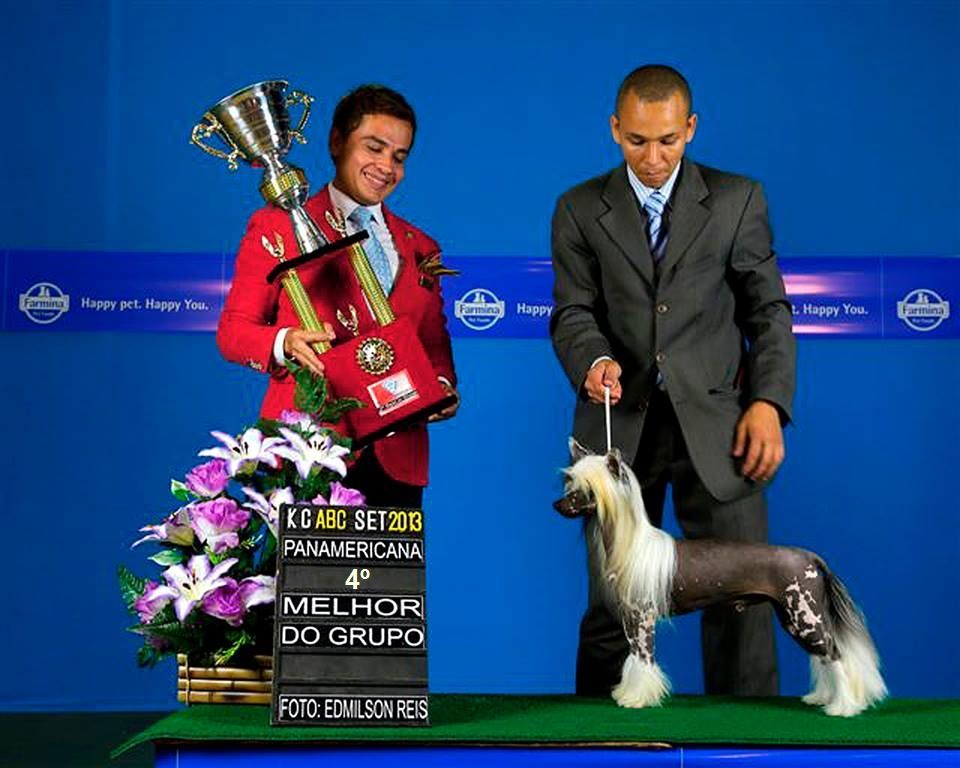 Lapinus Southern Soul