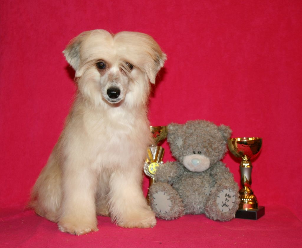 Rus Lorens Tara Reid