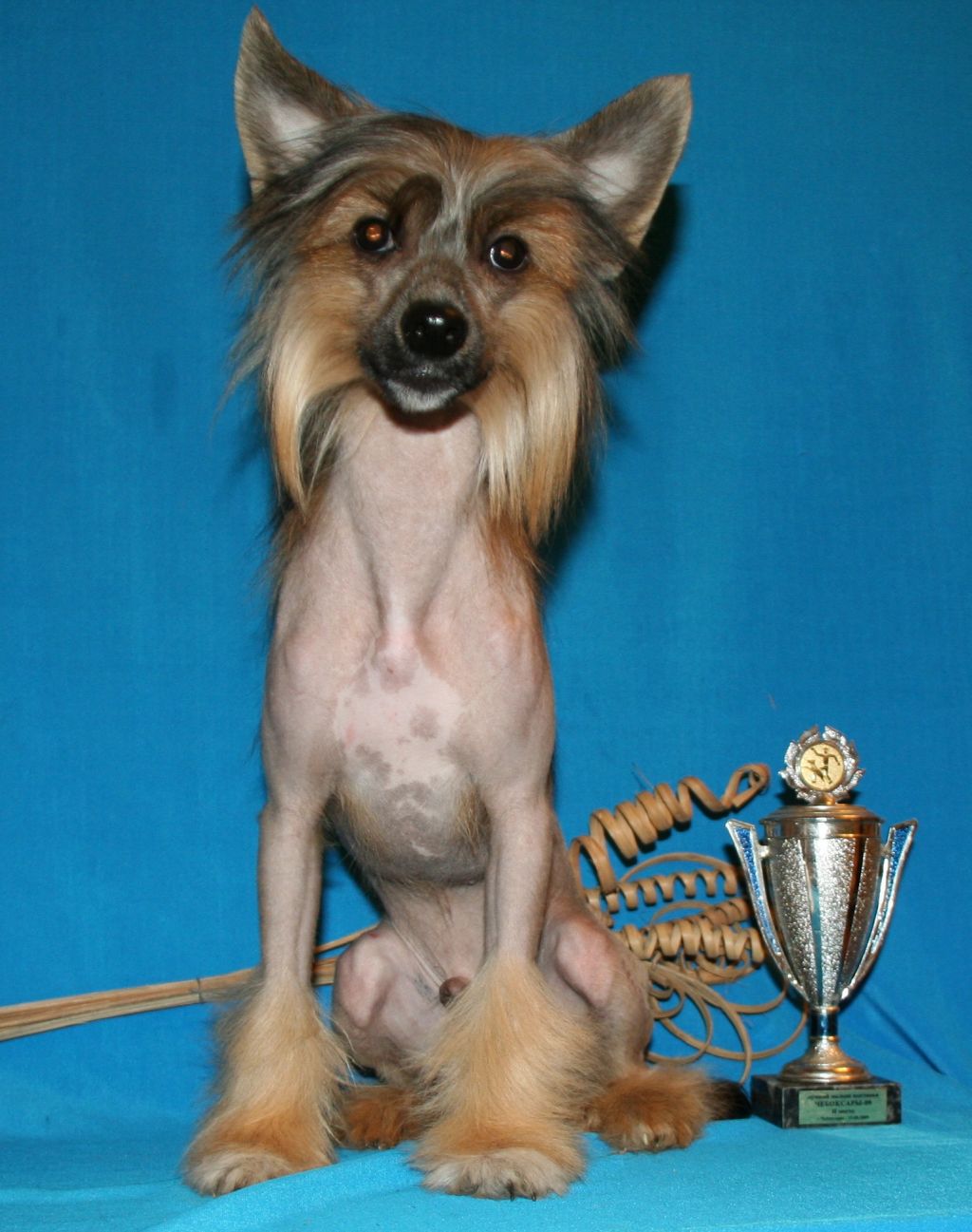 Rus Lorens Tommy Lee Jones