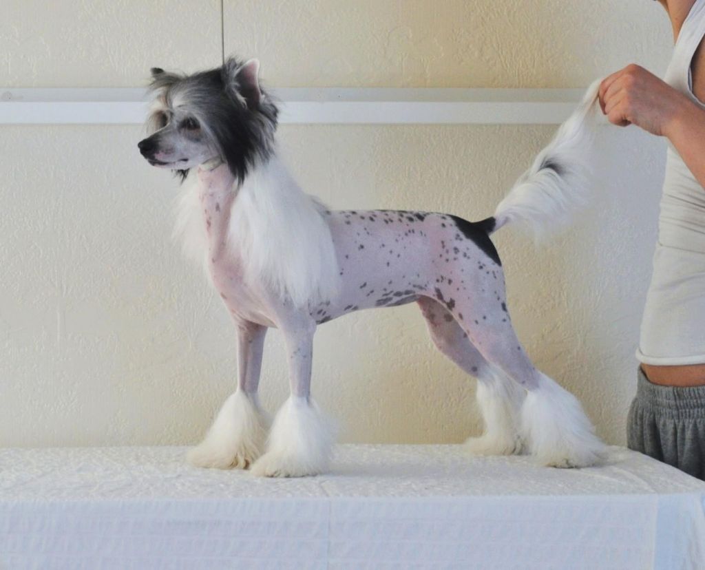 Rimabra's One In A Million