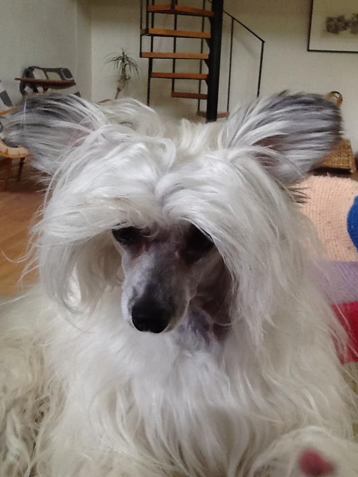 Tiny Diamonds Sunbeam