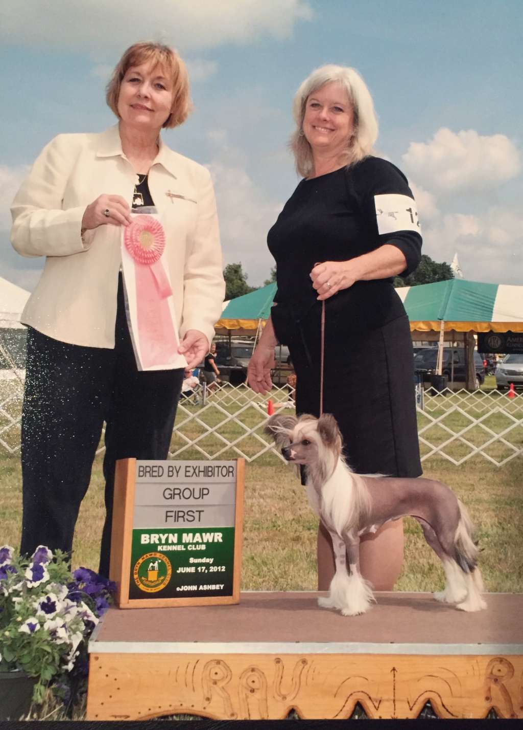 Kokoro's Some Kind of Wonderful