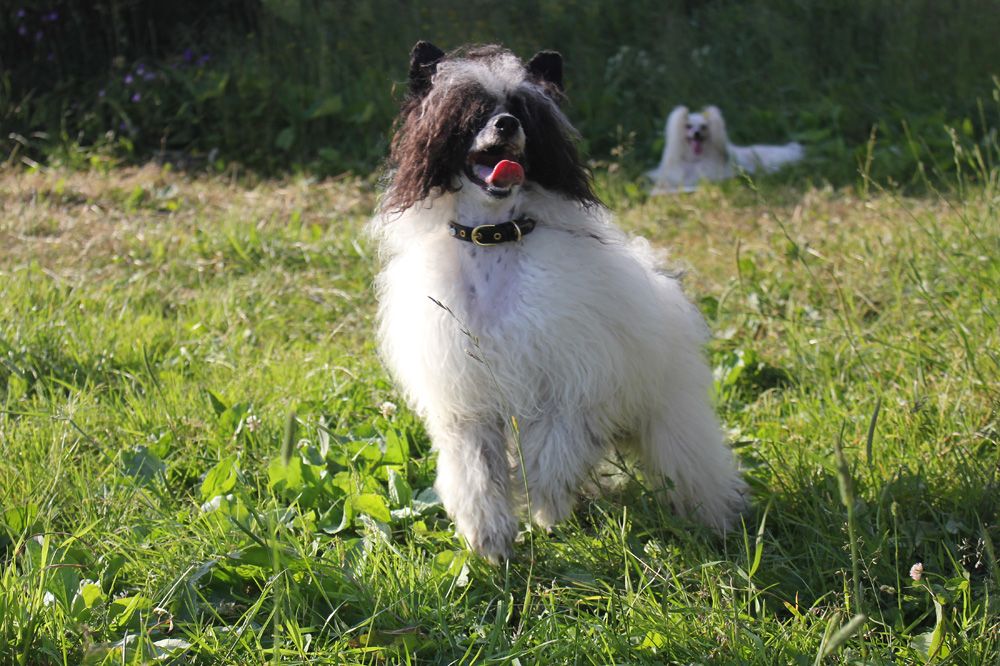 Mighty Archie Treasure