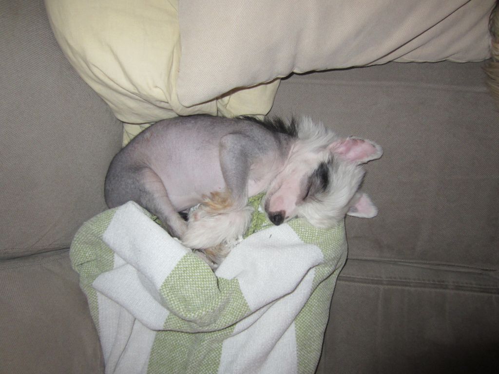 Yrar Out Of My Dreams