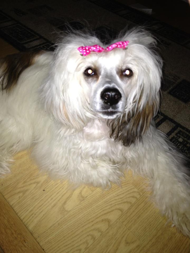 Love Bites HeavenAndHell