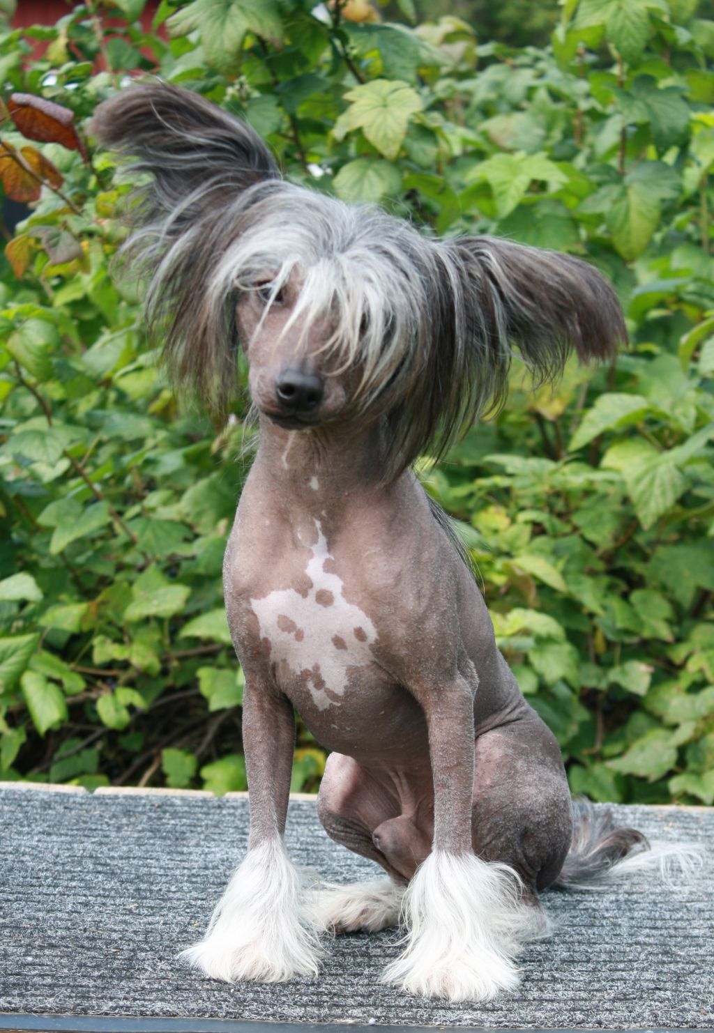 Love Bites TheManInBlack