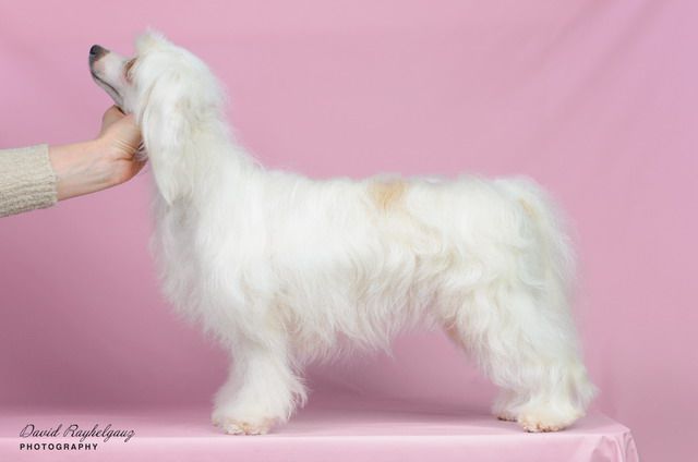 Olegro Katrin Ignite My Fire