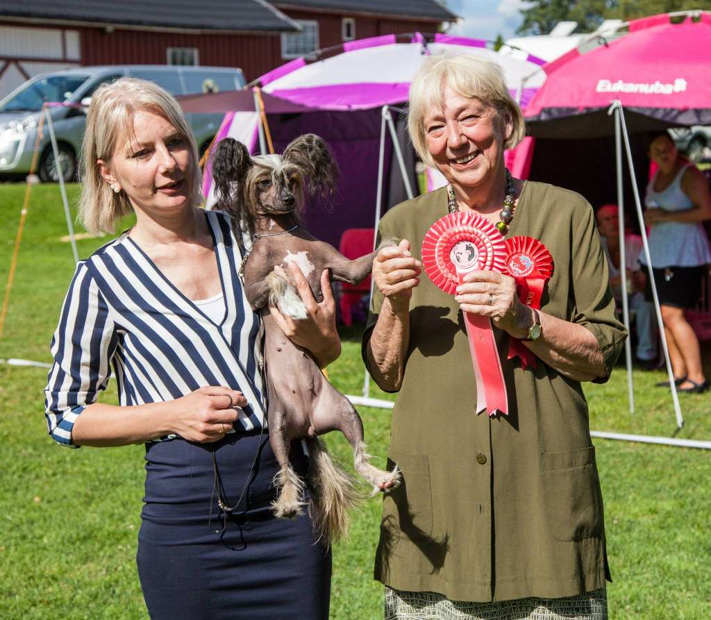 Reject's Sweet Sixteen Going North