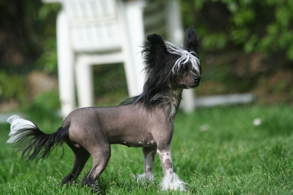 Dresscode-Zero Kala Azar