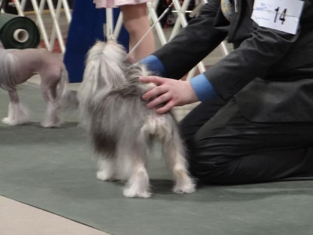 Sophistication by Maji