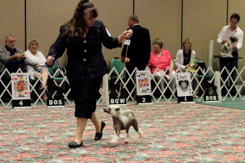 Kaylen This'll Blow Ur Hair Back Explicit