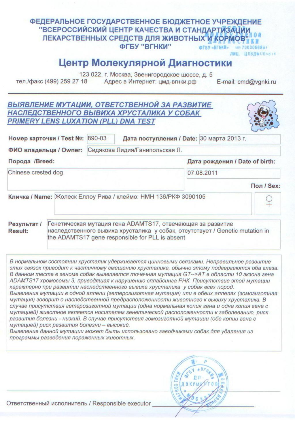 Zholesk Yellow River