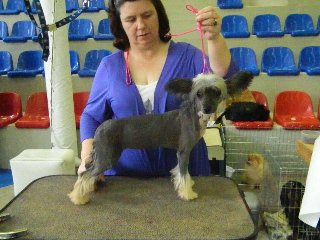 Diadene Pomona Sprout