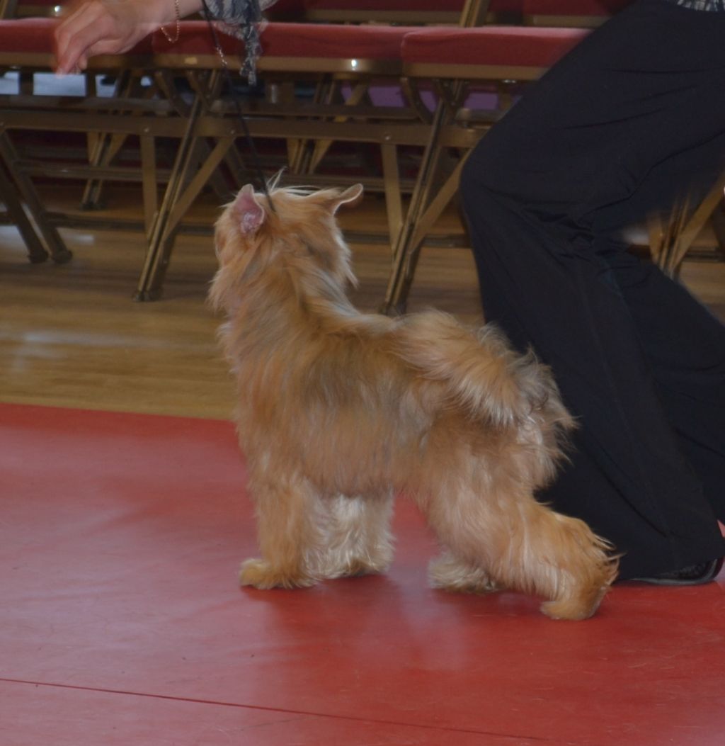 Dragonland Dreams In Day