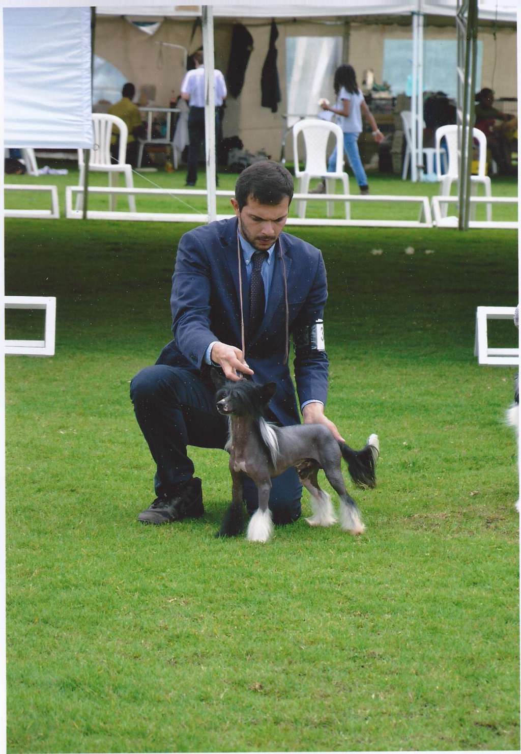 Ch Co. JCo. Salatino Sulfurico