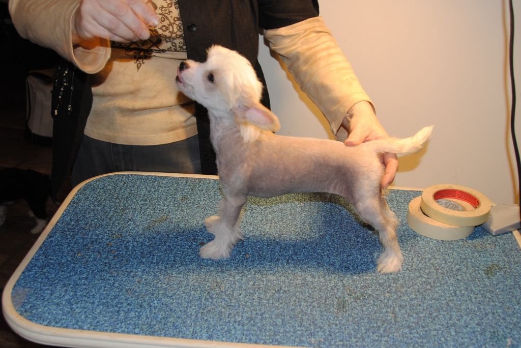 Kokoro's Mr. Wonderful