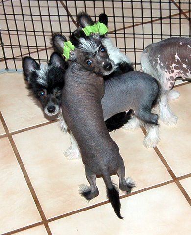 Canyons After The Fire