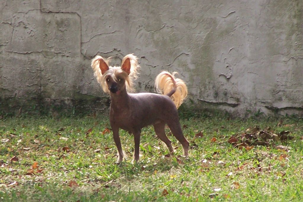 Xcel's Special Performance