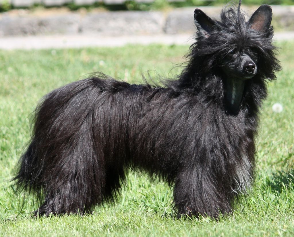 Ixtri's Someone Special