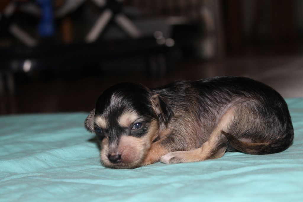 Ixtri's Sweet Child of mine