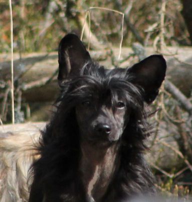 Ixtri's Rocket Queen