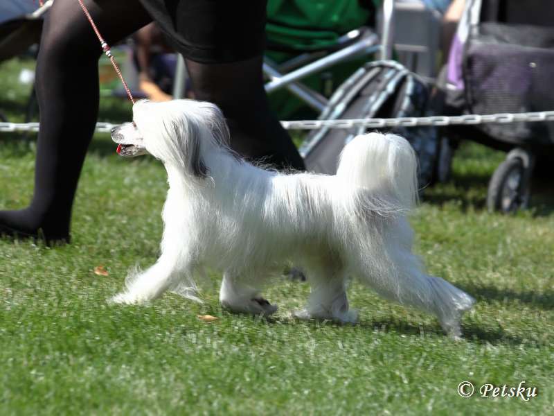 Zodellin Don't Look Back