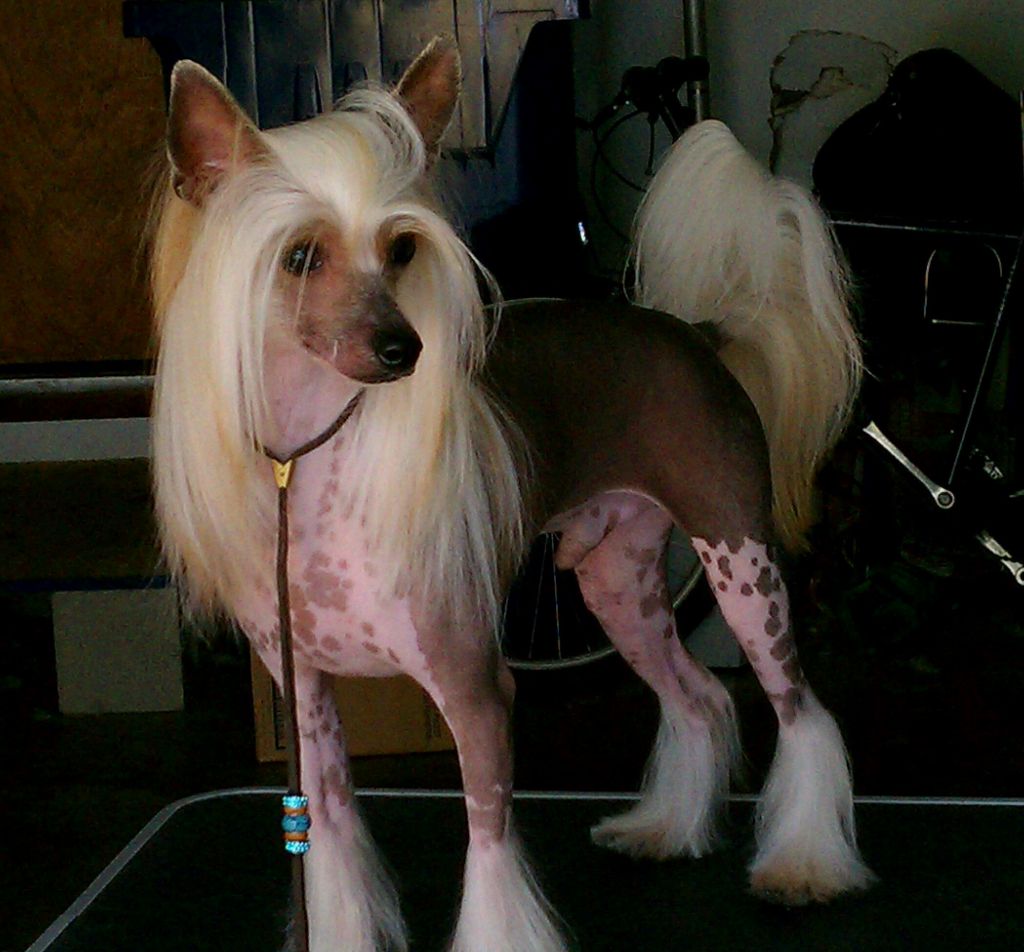 Edelweiss I Want It All