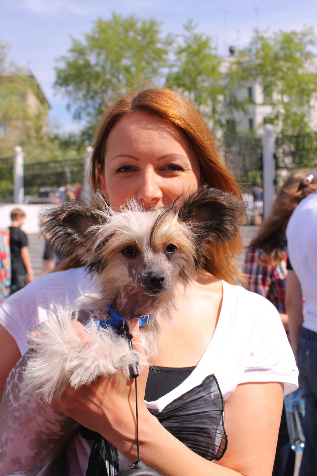 Nyu Art Shebbi Zlato Skifov