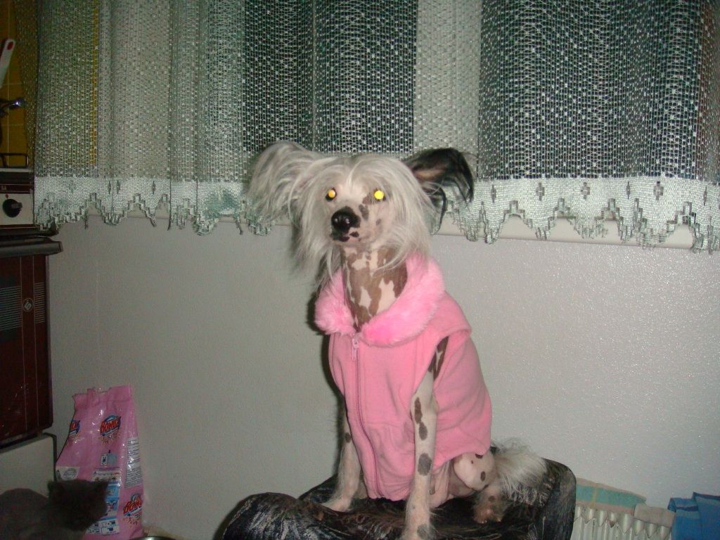 Barby Bilosnishne svjato