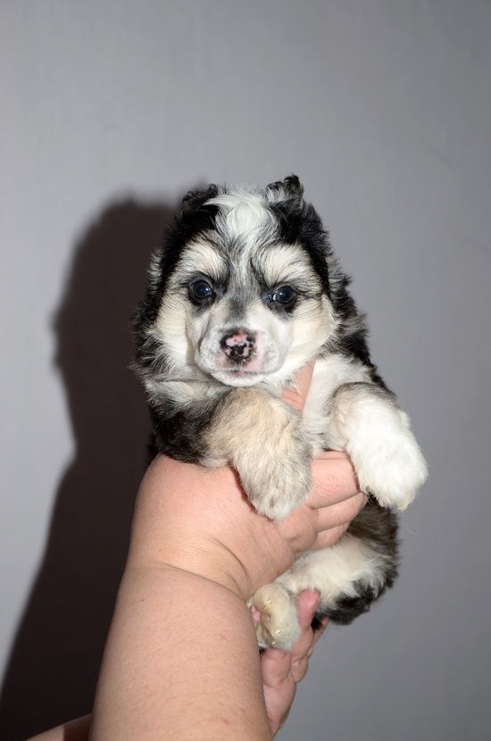 Elance Louange Bring Me Joy