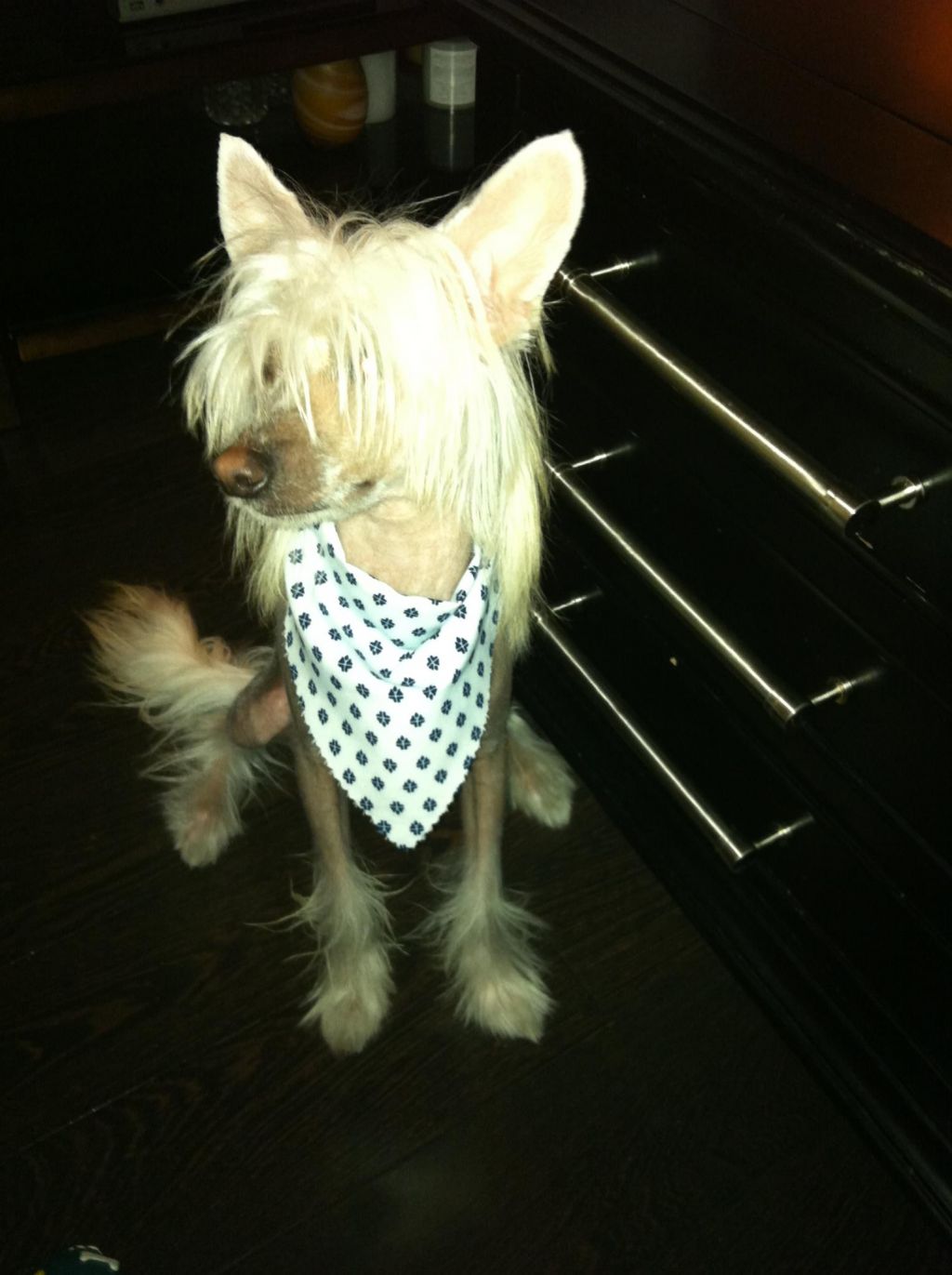 McShane's Ashless Inferno