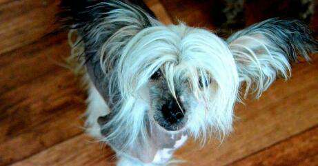 Crest-Vue's An Angels Message