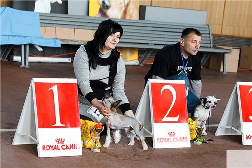 Solo Elider Brooke Shields