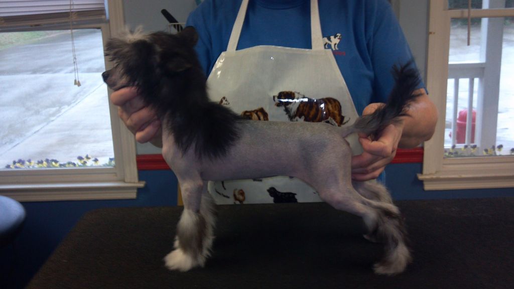 Koridawns The Mask of Zorro