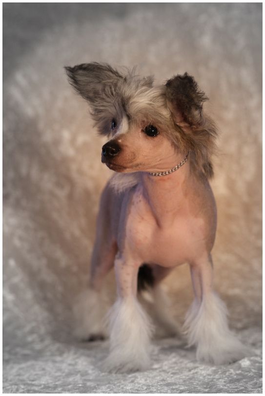 Gandalf  Du Coeur Des Tenebres