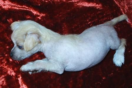 Nyu Art Yun - Hrabrost' Nebes