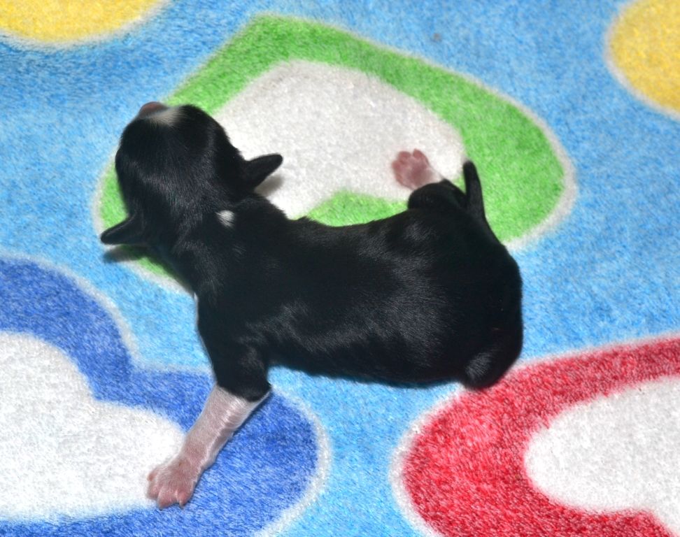 Exotic Paradise Naruto