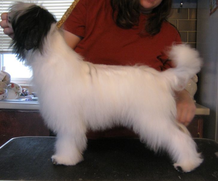 Mauvais Under the Bridge v Aeon