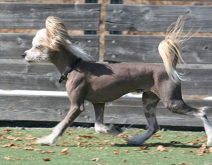 Sunstreaker Life on Mars