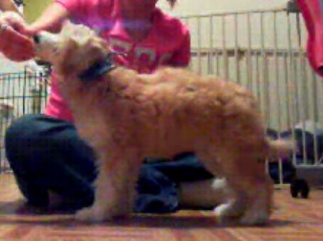 Mahns Floating on a Cloud