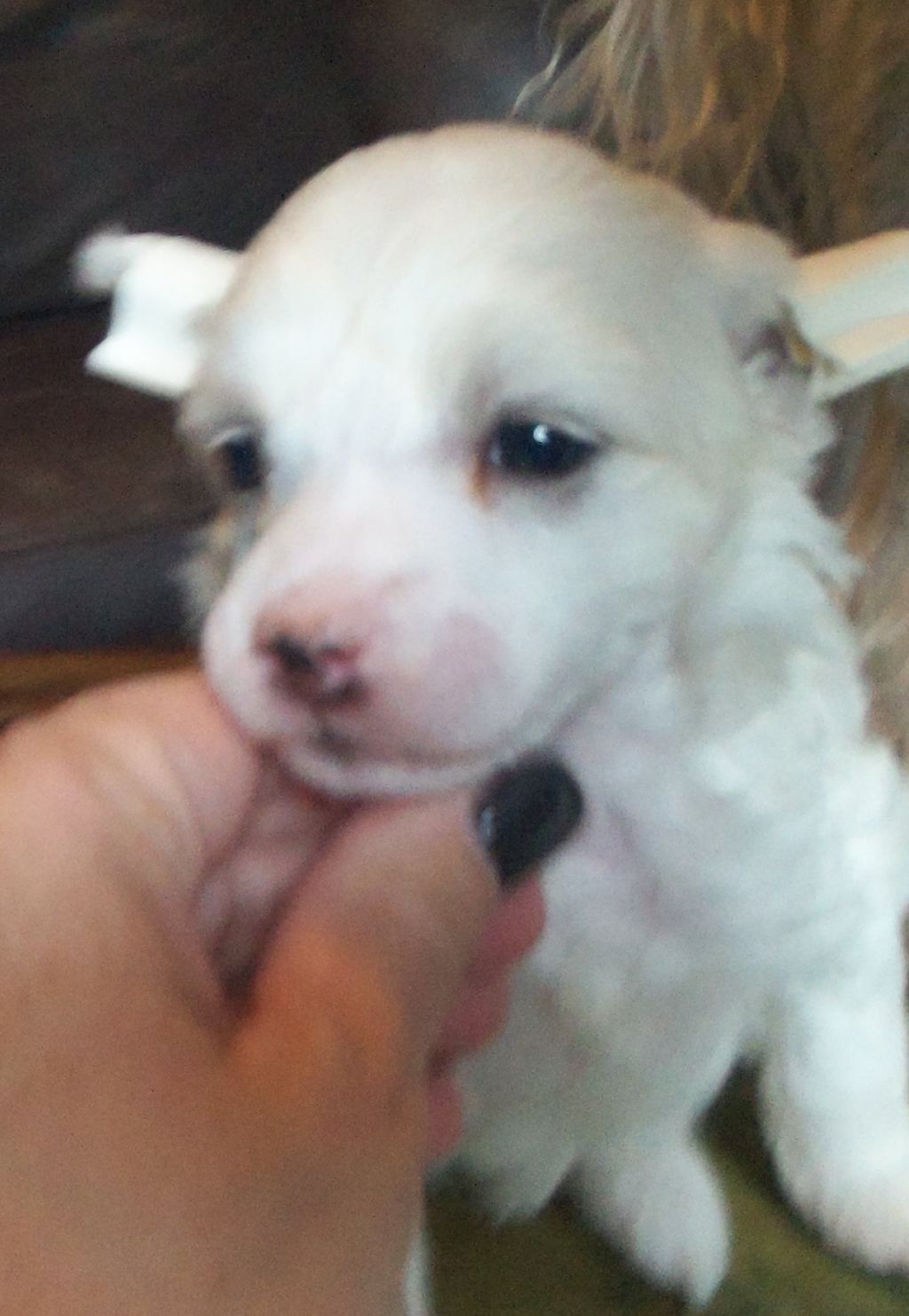 Creekside's Don't Panic