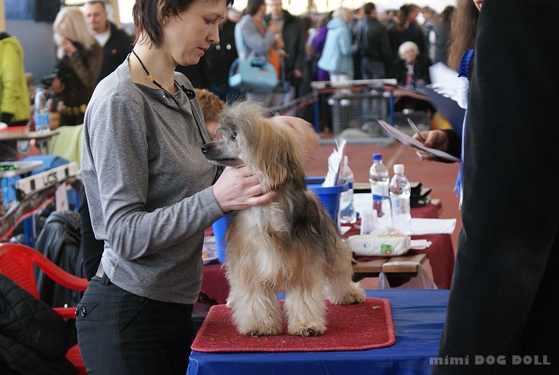 Bravo Olett Archi (PUFF)