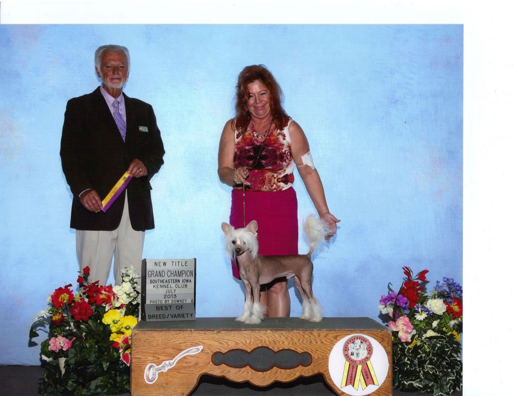 Creekside's Moves Like Jagger