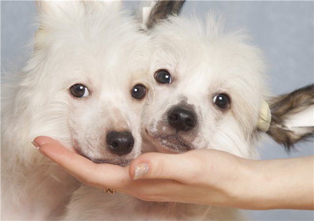 Melanies Rerity Norton