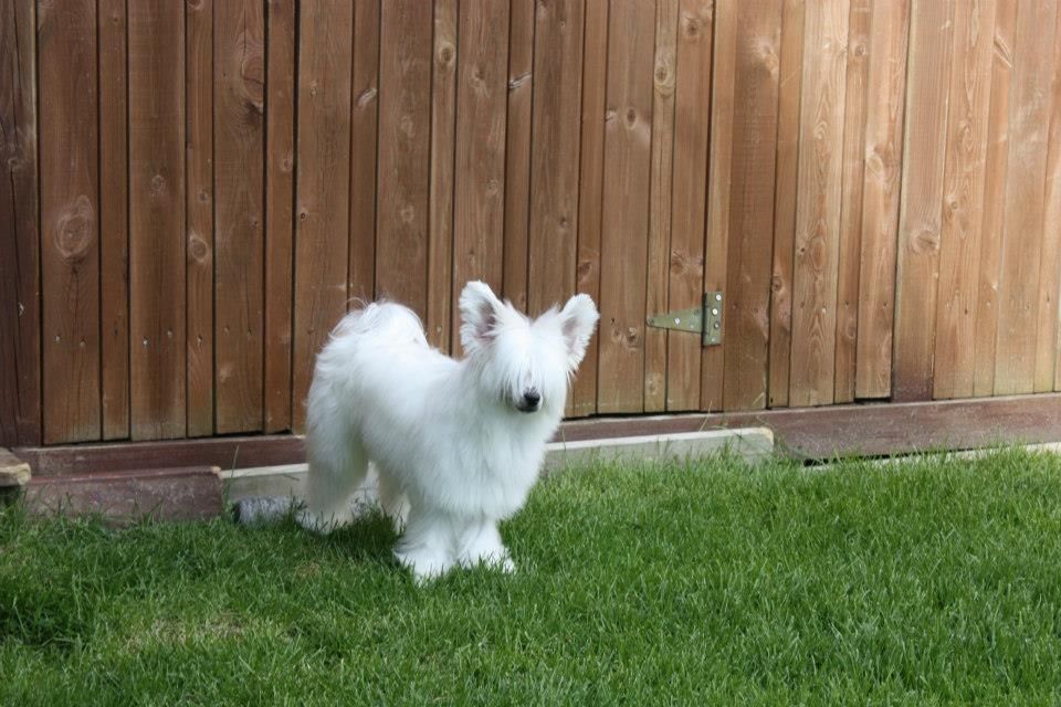 Victorious Break Dance