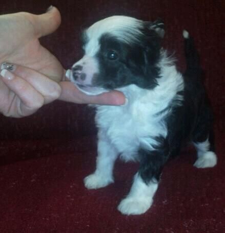 Ghost Dancing Grafitty du Domaine de Luzoken