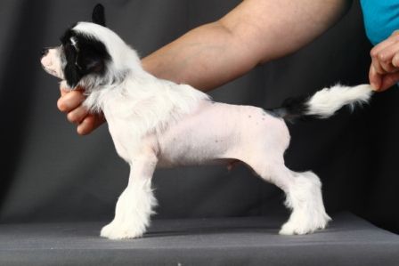 Uinril  knows the secret