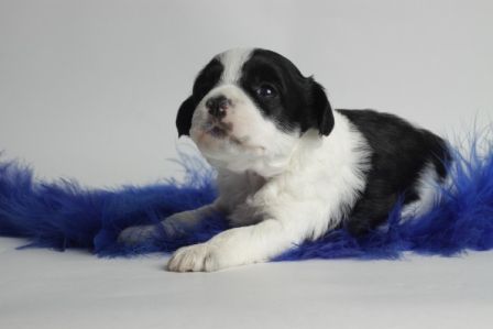 Uriks nubbin happiness