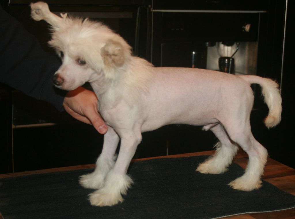 Habiba Famously Fabulous